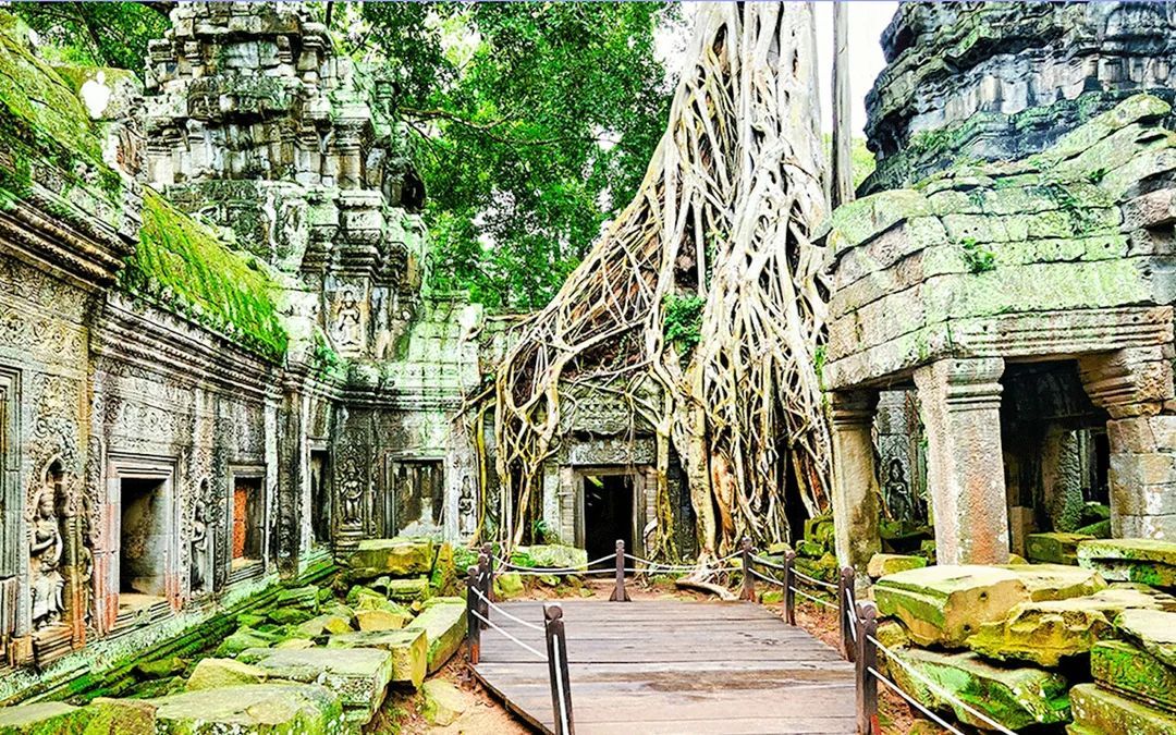 Angkor Temples Small-Group Guided Tour with French-Speaking Guide Image 3