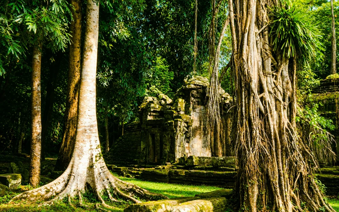 Angkor Wat Sunrise Private Tour Image 3
