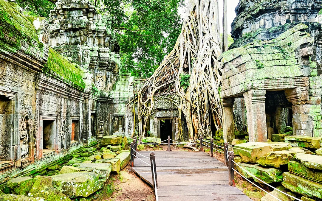 Angkor Wat Sunrise Private Tour Image 4