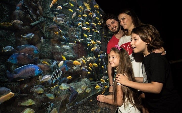 Antalya Aquarium and Face2Face Wax Museum Combo Ticket Image 5