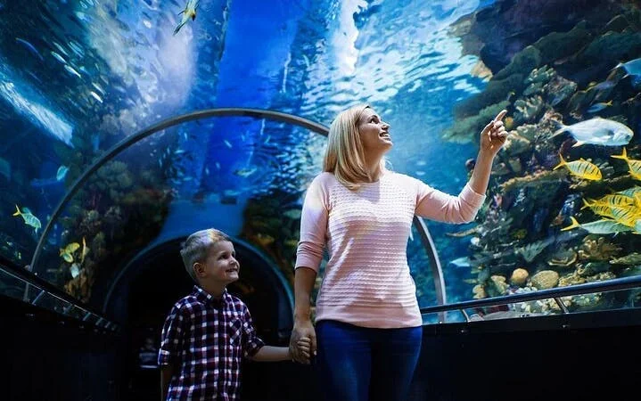 Antalya Aquarium & Fun Park Tour–All-Inclusive with Hotel Pickup Image 4