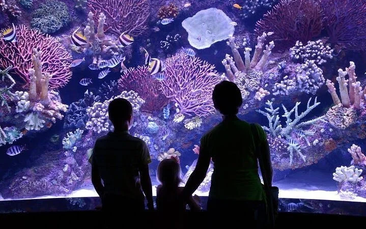 Antalya Aquarium & Fun Park Tour–All-Inclusive with Hotel Pickup Image 10