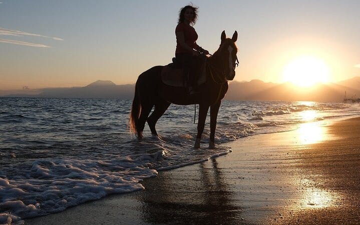 Antalya Horse Riding Experience Image 7