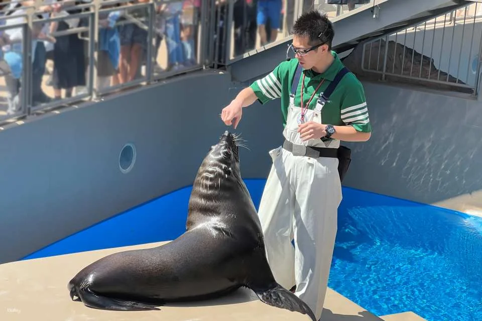 [Smooth entry with advance purchase] Aqua World Ibaraki Oarai Aquarium Admission Ticket