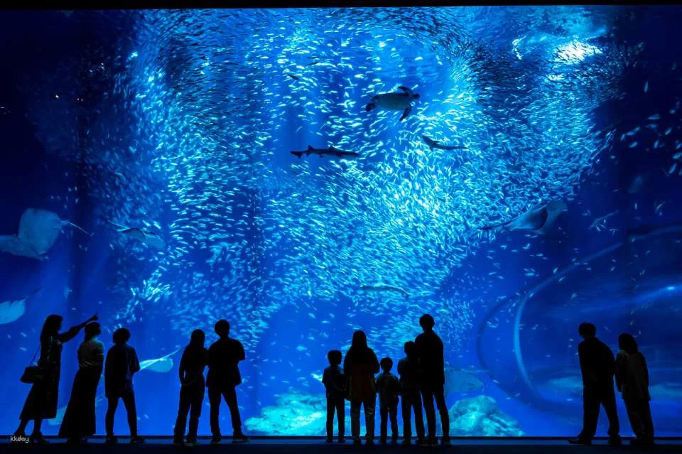[Smooth entry with advance purchase] Aqua World Ibaraki Oarai Aquarium Admission Ticket