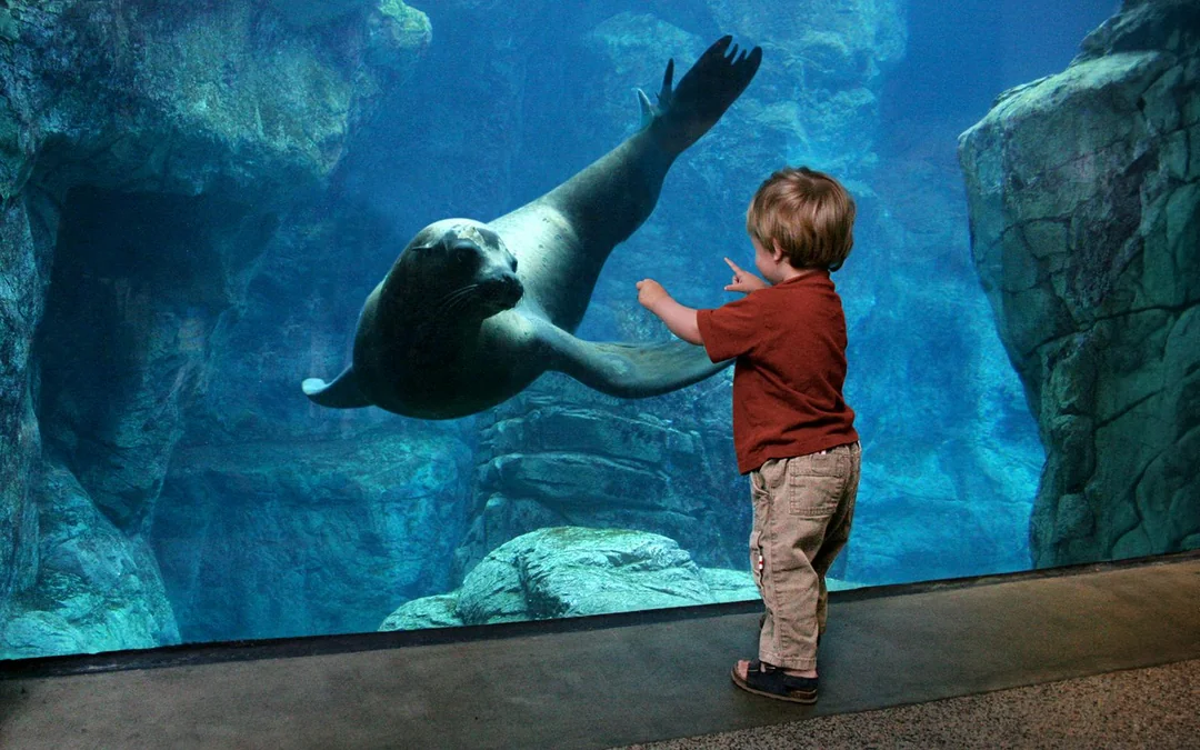 Aquarium of the Pacific Skip-the-Line Tickets Image 3
