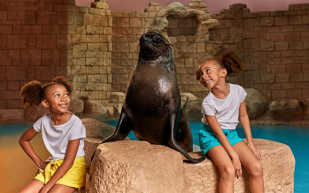 Aquaventure Waterpark Tickets with Sea Lion Encounter Image 2