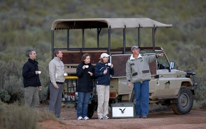 Aquila Private Game Reserve Safari and Buffet Lunch with Shared 4x4 Game Drive Image 5