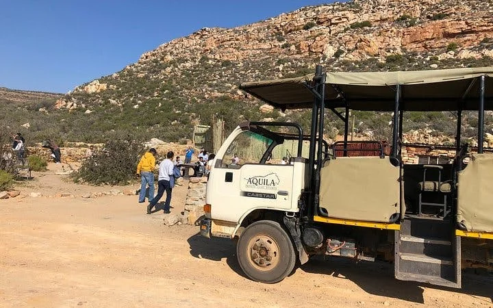Aquila Private Game Reserve Safari and Buffet Lunch with Shared 4x4 Game Drive Image 10