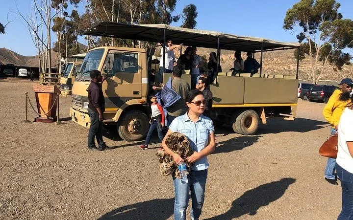 Aquila Private Game Reserve: Shared Transfers and Guided Safari Experience with Hotel Pickup and Drop-Off (Excludes Entrance Fees) Image 10
