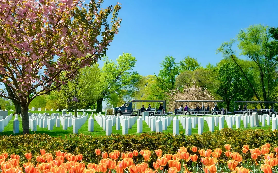 Arlington National Cemetery Hop-On Hop-Off Guided Tram Tour Image 1
