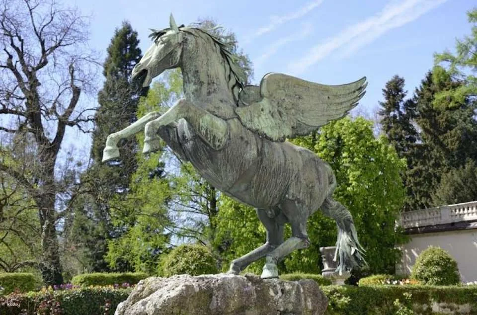 Art and culture in Salzburg with a local