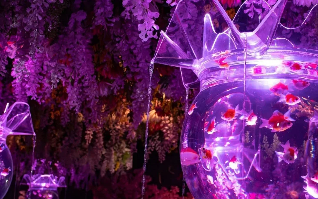 Art Aquarium Museum GINZA Skip-the-Line Pass: Couple & Family Deal (Flash deal for min. 2 guests) Image 9