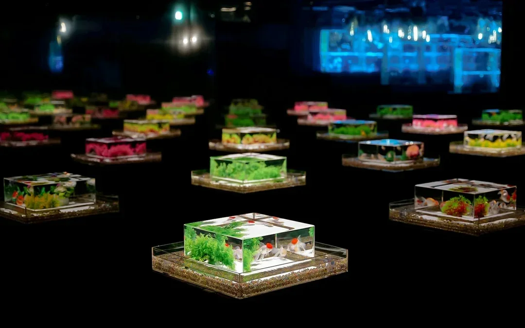 Art Aquarium Museum Ginza Tickets  Image 7