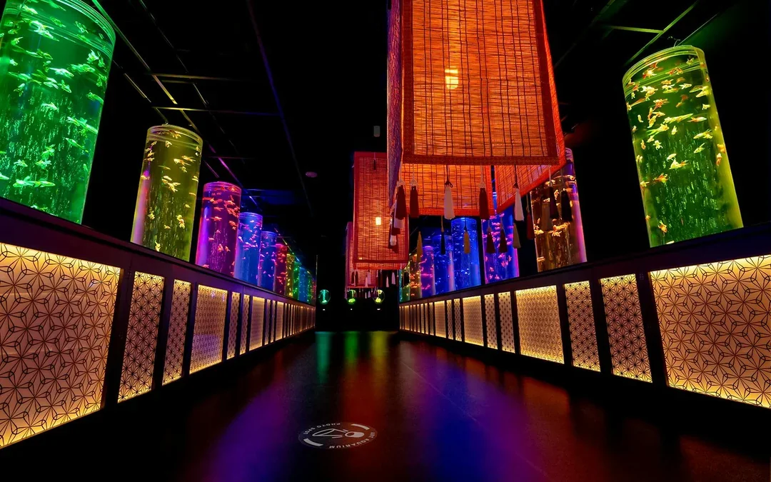 Art Aquarium Museum Ginza Tickets  Image 9
