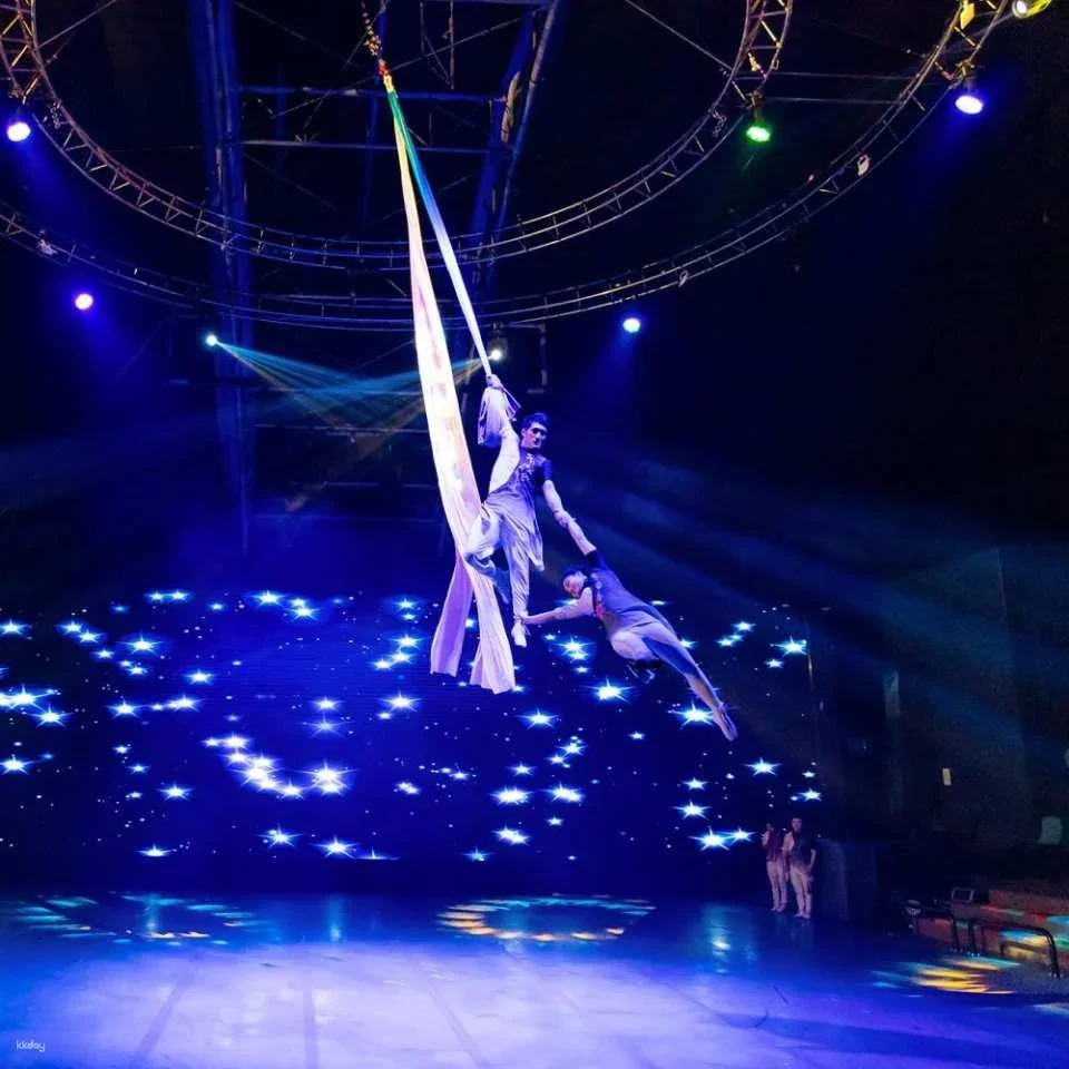 Jeju Circus World: Art Circus - Admission Ticket | South Korea