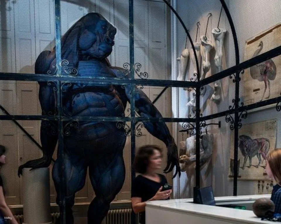 Entrance ticket to the Art Zoo Museum in Amsterdam with audio tour
