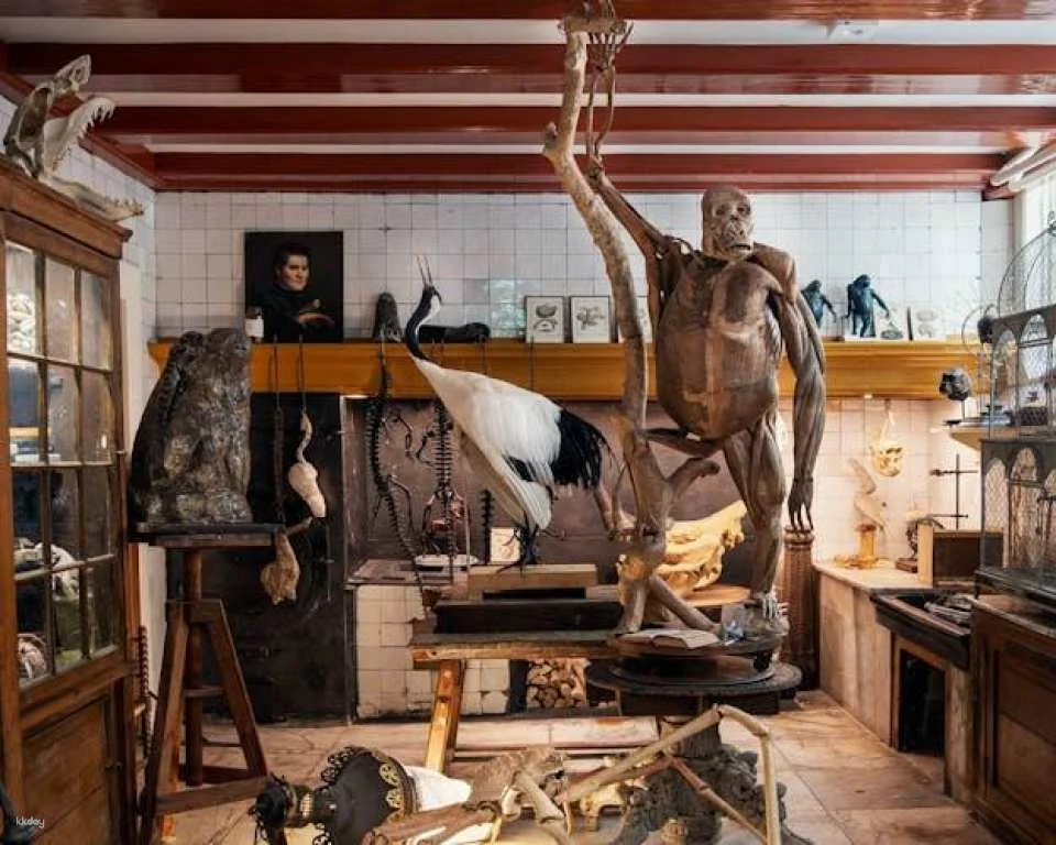 Entrance ticket to the Art Zoo Museum in Amsterdam with audio tour
