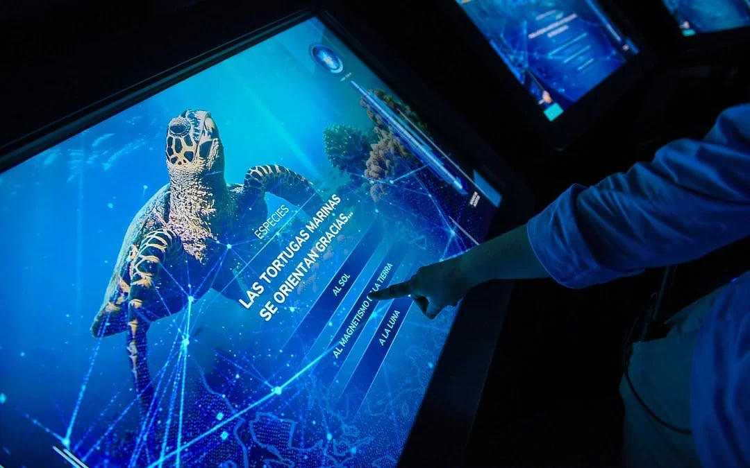 Atlantis Aquarium Madrid Tickets Image 6