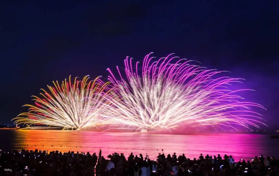 [AUG11] Enjoy Mikuni Fireworks from Reserved Seat 1 Day Bus Tour from Nagoya