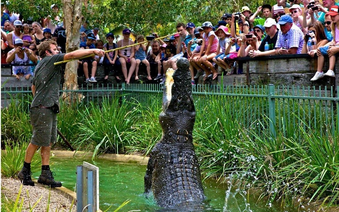 Australian Reptile Park Ticket Image 6