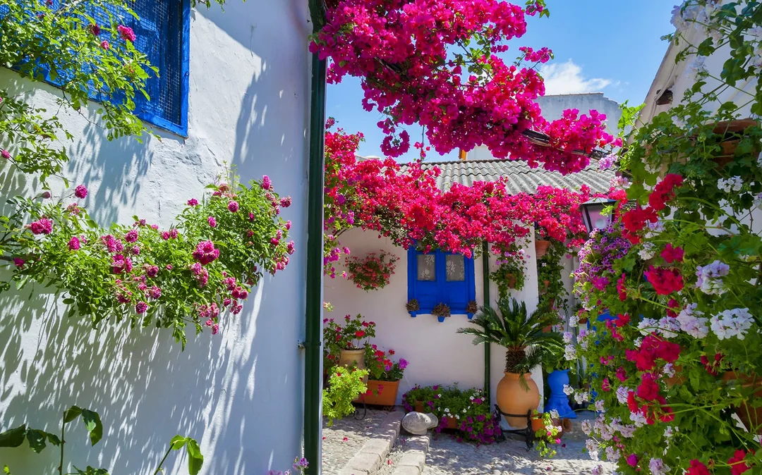 Authentic Patios of Cordoba Skip-the-Line Guided Tour Image 1