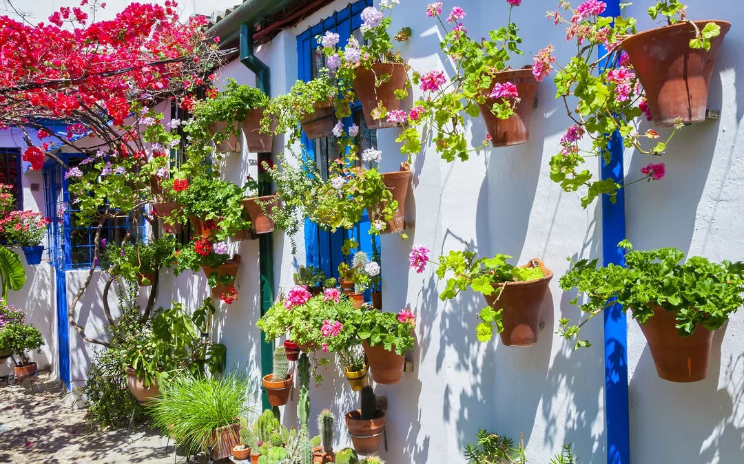 Authentic Patios of Cordoba Skip-the-Line Guided Tour Image 2