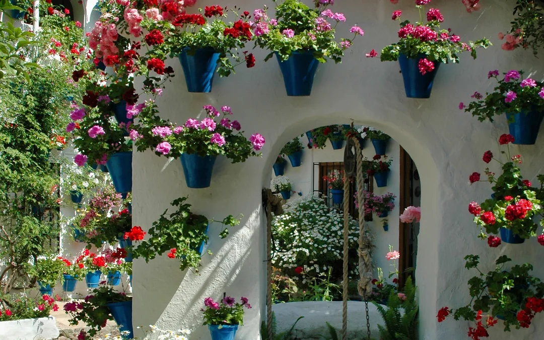 Authentic Patios of Cordoba Skip-the-Line Guided Tour Image 3