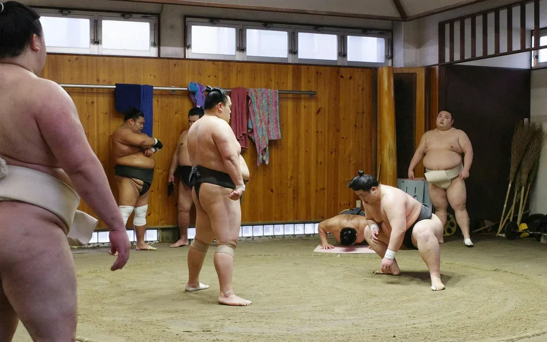 Authentic Tokyo Sumo Practice with Seat, Photos, and Audio Guide Image 3