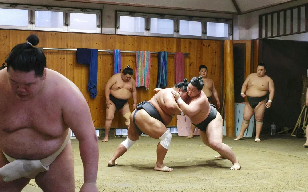 Authentic Tokyo Sumo Practice with Seat, Photos, and Audio Guide Image 6