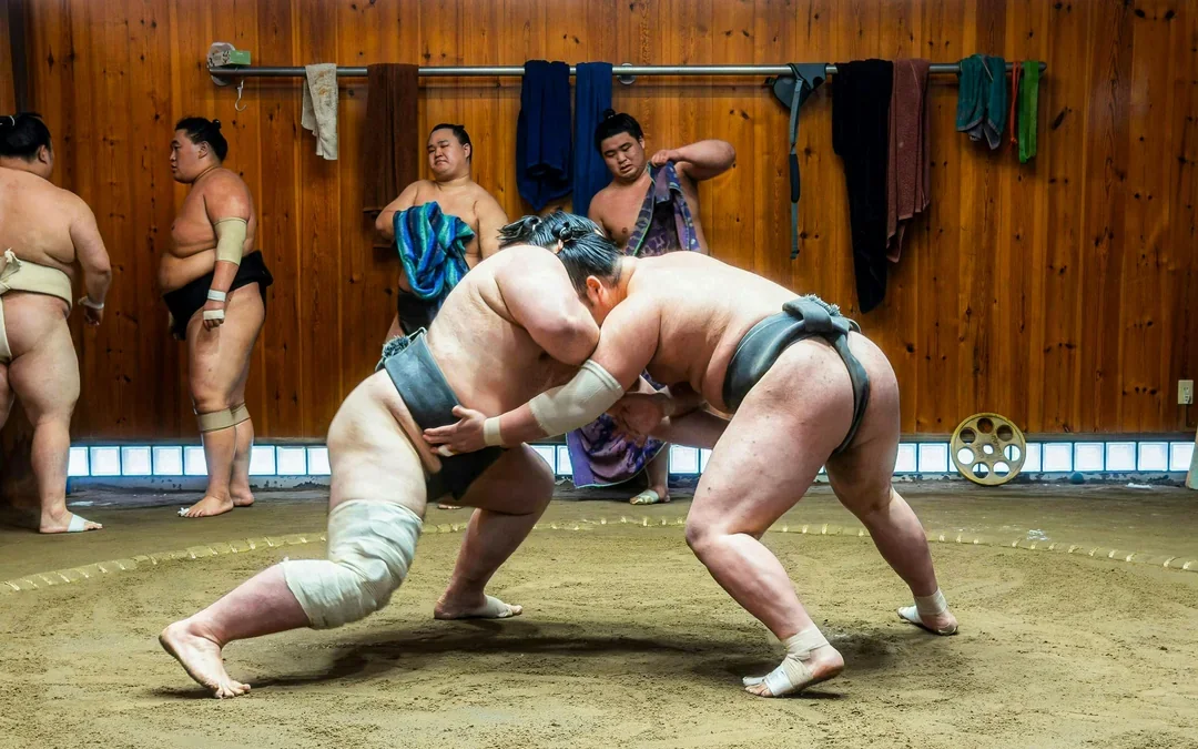 Authentic Tokyo Sumo Practice with Seat, Photos, and Audio Guide Image 7