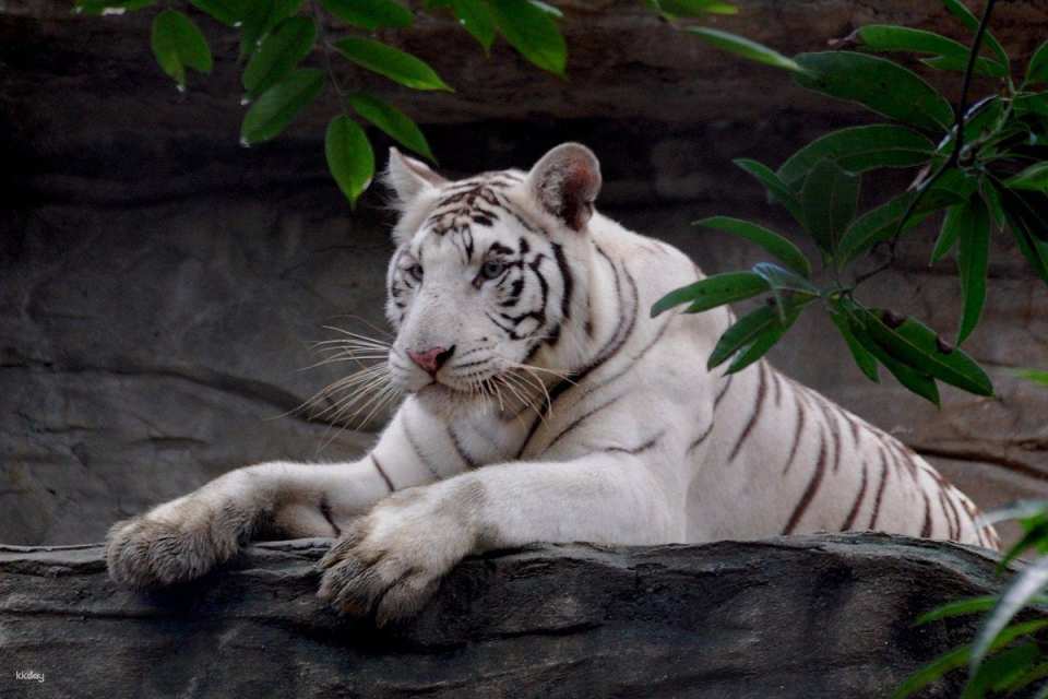 Avilon Zoo in Manila | Phillippines