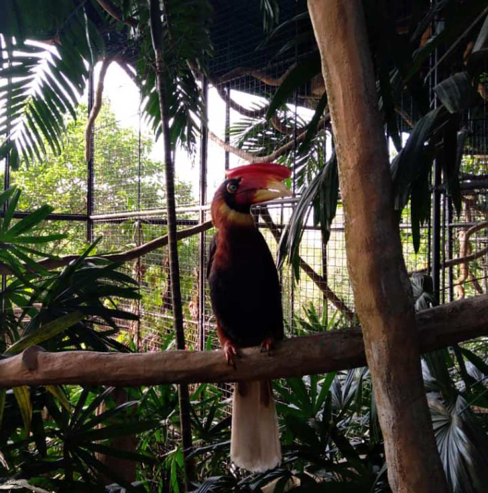 Avilon Zoo in Manila | Phillippines