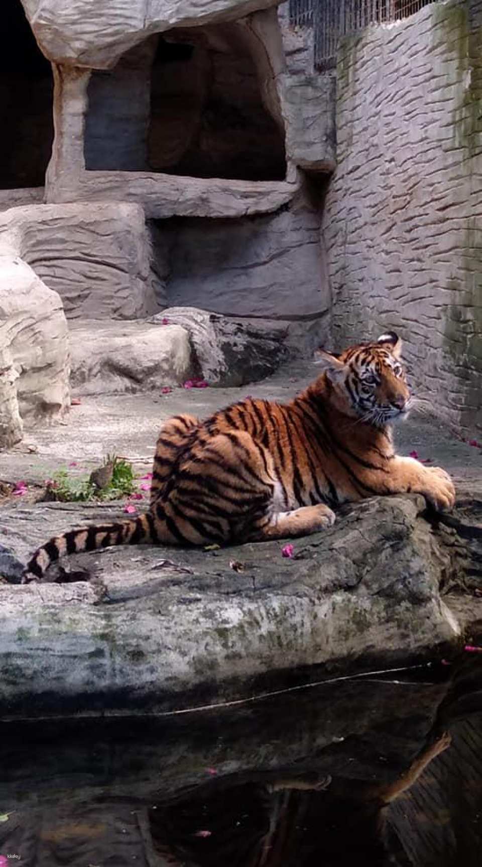 Avilon Zoo in Manila | Phillippines