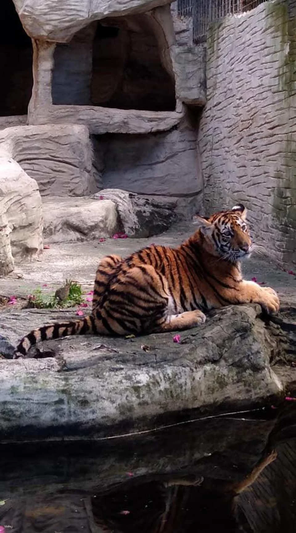 Avilon Zoo in Manila | Phillippines