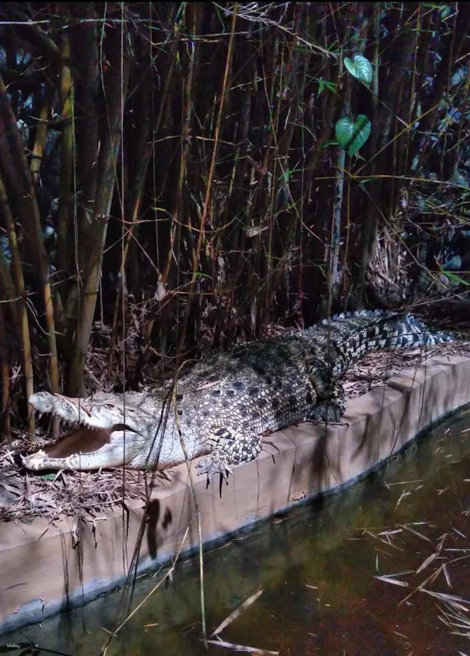 Avilon Zoo in Manila | Phillippines
