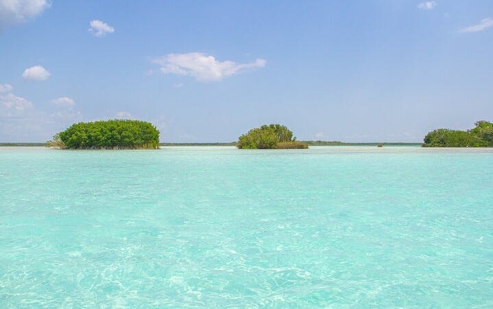 Bacalar Lagoon Day Trip with Breakfast, Lunch, Cenote Visits, and Pontoon Boat Tour from Cancun Image 4