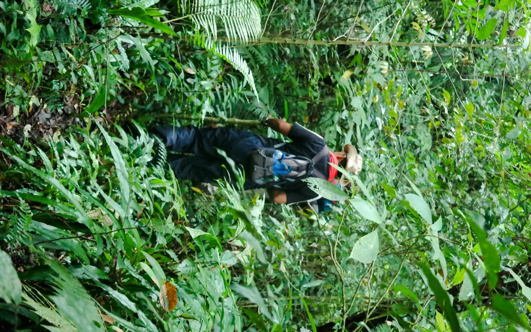 Bali Jungle Trekking, Canoeing & Waterfall Visit with Lunch and Round-Trip Hotel Transfers Image 1