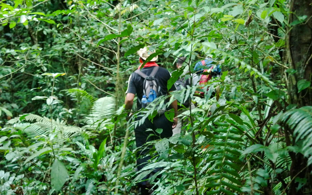 Bali Jungle Trekking, Canoeing & Waterfall Visit with Lunch and Round-Trip Hotel Transfers Image 4
