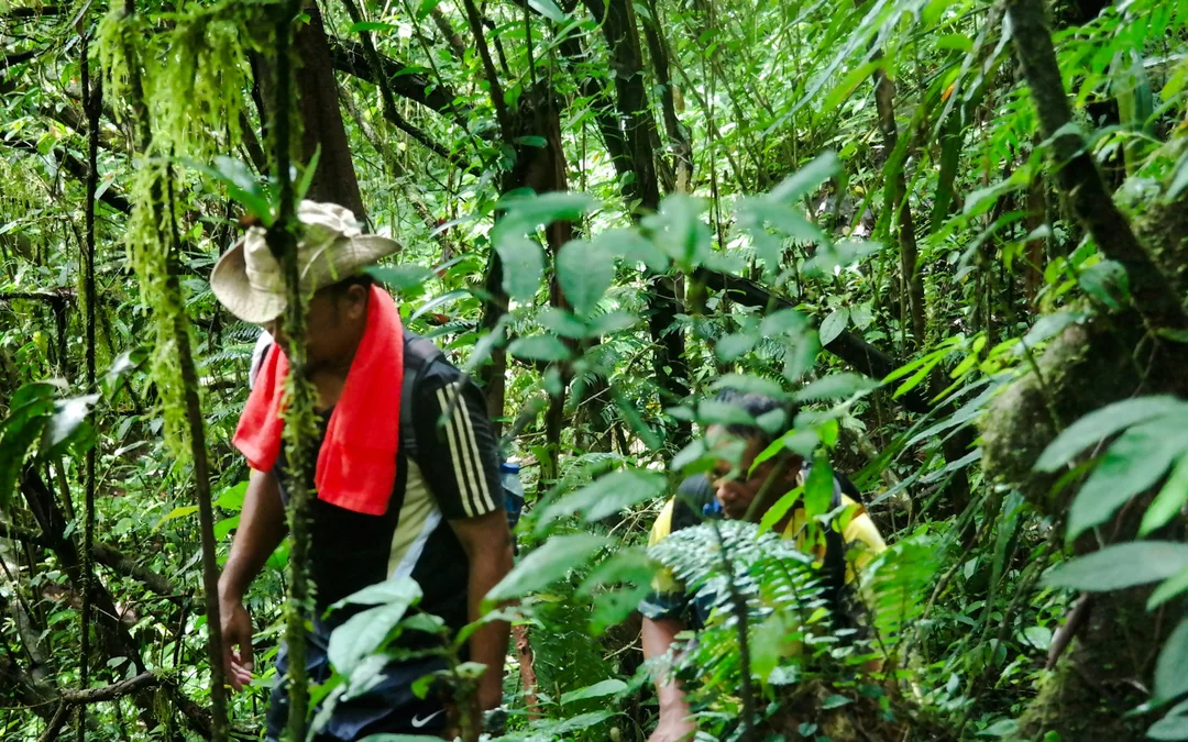 Bali Jungle Trekking, Canoeing & Waterfall Visit with Lunch and Round-Trip Hotel Transfers Image 5