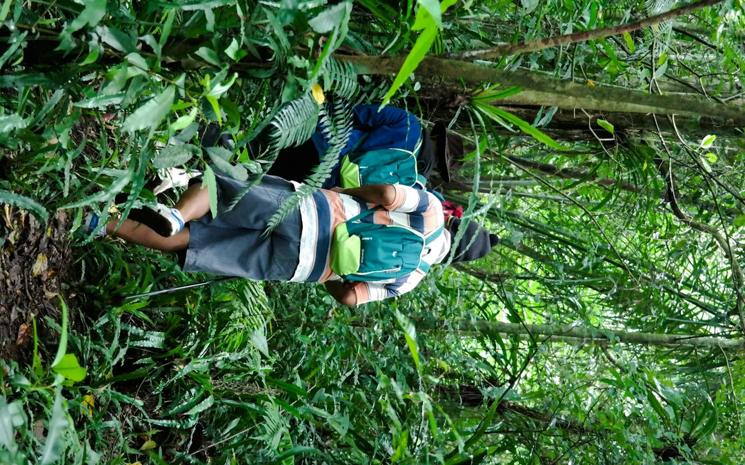 Bali Jungle Trekking, Canoeing & Waterfall Visit with Lunch and Round-Trip Hotel Transfers Image 7
