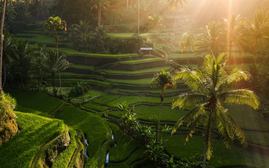 Bali Private Instagram Spots Tour Image 2