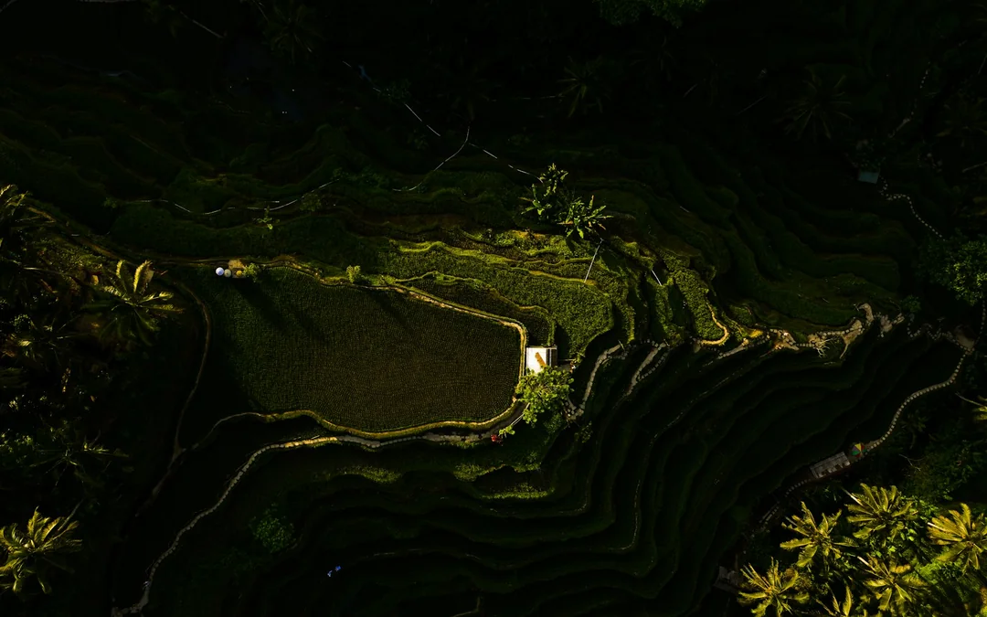 Bali Private Instagram Spots Tour Image 4
