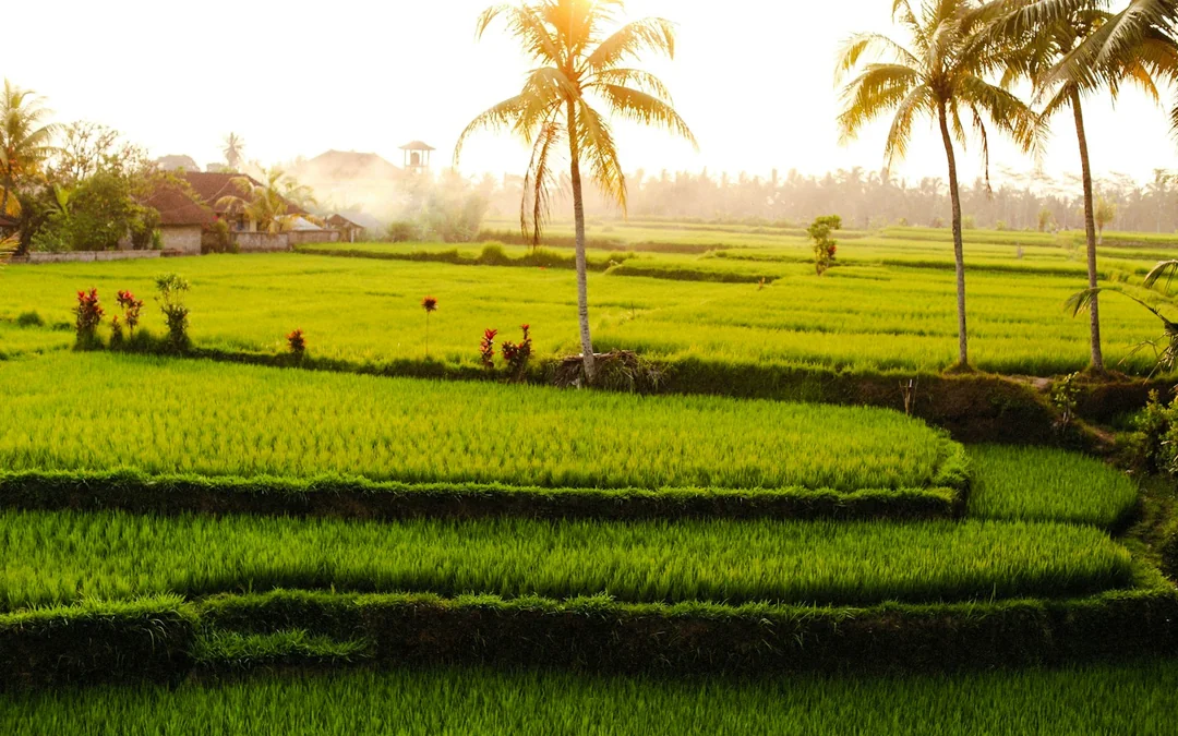Bali Private Instagram Spots Tour Image 10