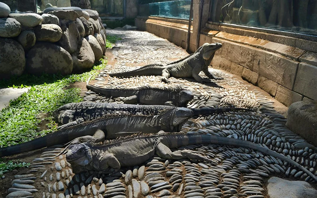 Bali Reptile Park Tickets Image 3