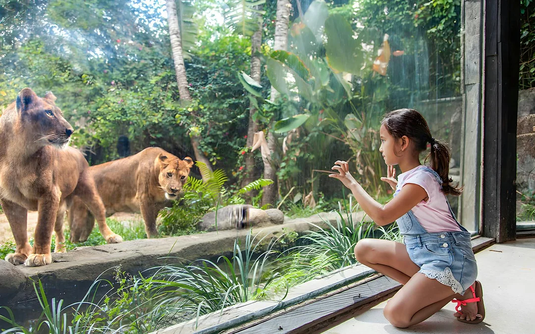  Bali Zoo Tickets with Elephant Feeding & Mud Bath 
 Image 5