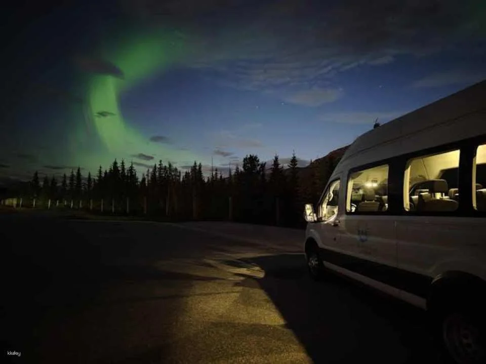 Banff's night sky adventure under the stars