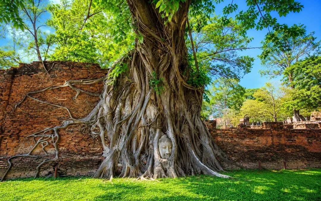Bangkok: Ayutthaya Temples, Thai Traditions & Local Life Image 6