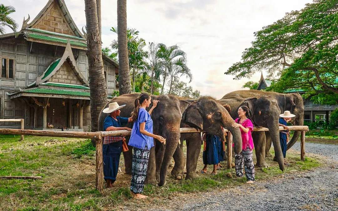Bangkok Elephant Park Half-Day Elephant Care Experience Image 9