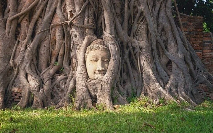 Bangkok: Giant Buddha & Ayutthaya Afterlife Tour Image 8